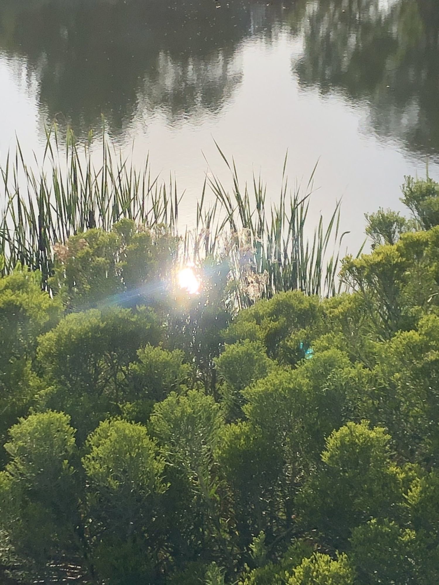 Morning sun at Riverbend Ponds