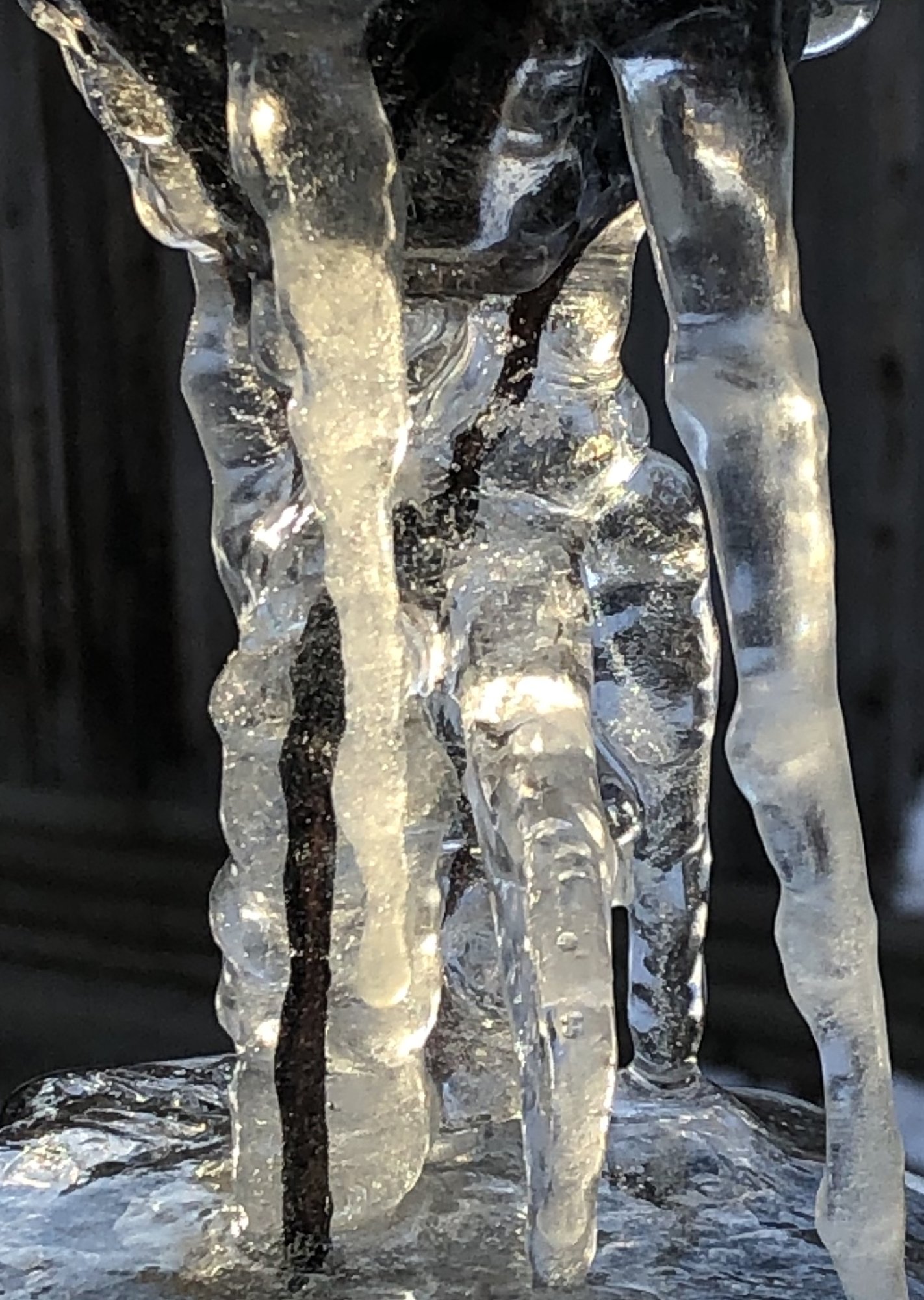 frozen rain chain